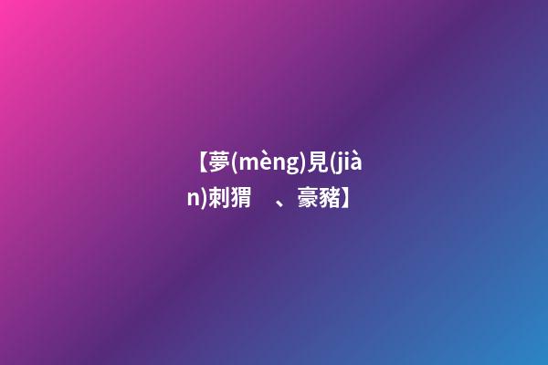 【夢(mèng)見(jiàn)刺猬、豪豬】